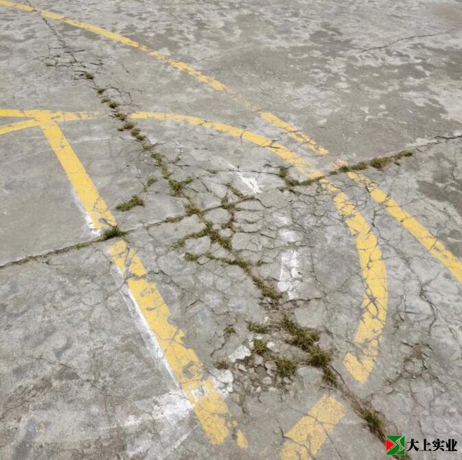 籃球場地面已開裂，并長出雜草。
