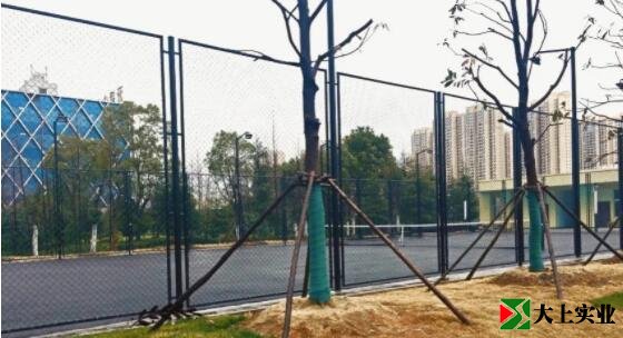 烽勝公園西側(cè)唯一的體育場地，室外網(wǎng)球場